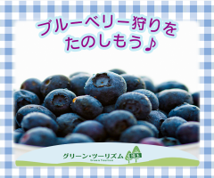 グリーン・ツーリズム埼玉(ブルーベリー)