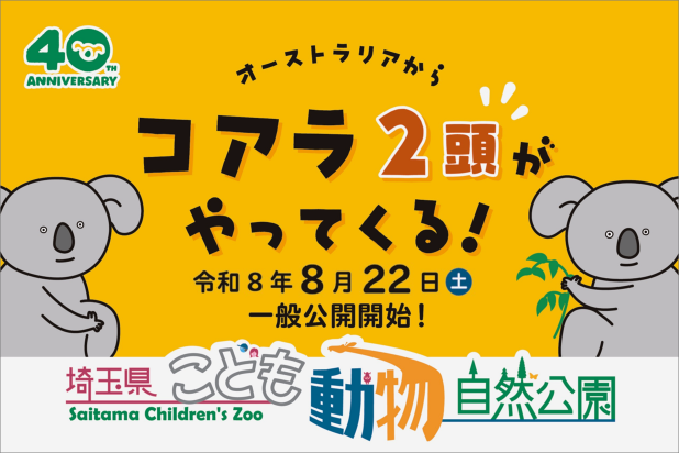 オーストラリアからコアラ2頭がやってくる。令和8年8月22日（土曜日）一般公開開始、40周年アニバーサリー