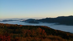 紅葉と雲海の風景