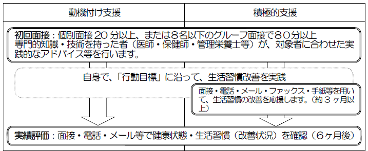 特定保健指導の流れの図