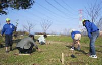 本庄市森と泉公園での植栽