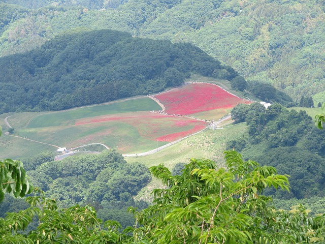 大霧山