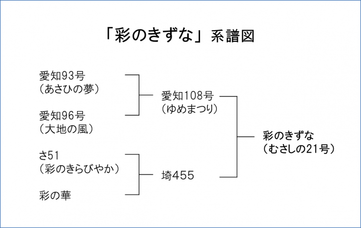 彩のきずな系譜図