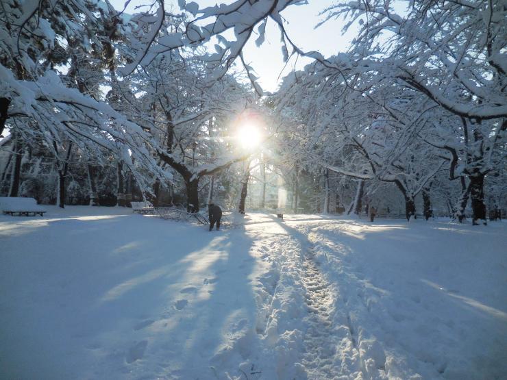 30年1月23日の積雪2