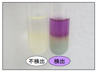 有機リン系農薬検出キットによる判定の写真