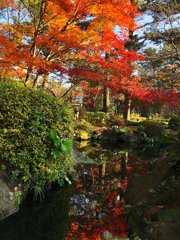 30年12月1日の紅葉状況5