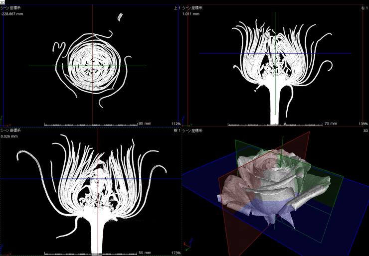 花のX線CTスキャン