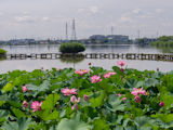 伊佐沼（川越市）