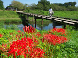 高麗川（坂戸市）