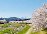 小山川（本庄市）