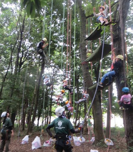 木登り体験