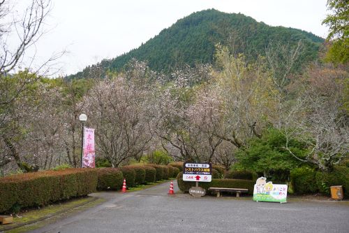 城峯公園