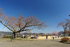 のんびり過ごす来園者の皆さま