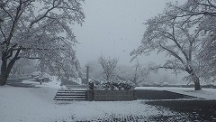 雪のエントランス広場