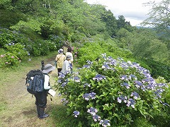 入口付近の散策を楽しむかたがた