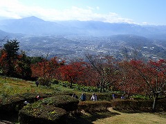 2018年度のハイキングで参加者が歩く様子