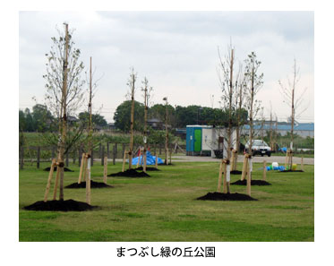 まつぶし緑の丘公園