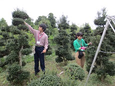 植木造園専攻