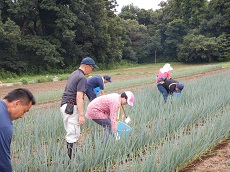 短期野菜専攻