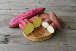 さつまいもサムネイル