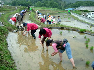 横瀬町寺坂地区