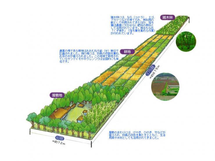 三富新田の地割り