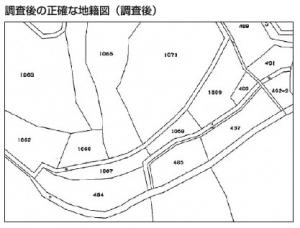 調査後の正確な地籍図