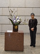 生け花2月22日