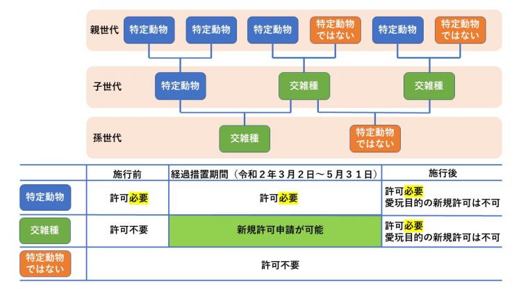 特定動物イメージ2