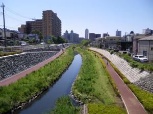 整備後の芝川