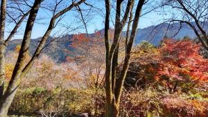 城峯公園の紅葉