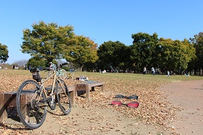 びん沼自然公園2