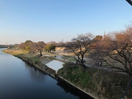 いろは親水公園1