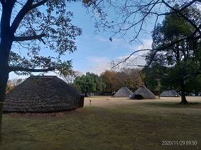 水子貝塚公園1