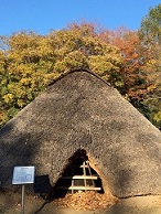 水子貝塚公園4