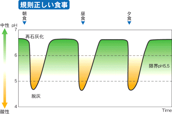 正しい食事の場合の脱灰と再石灰化のメカニズム