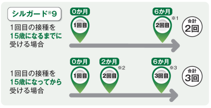 HPVワクチン接種スケジュール