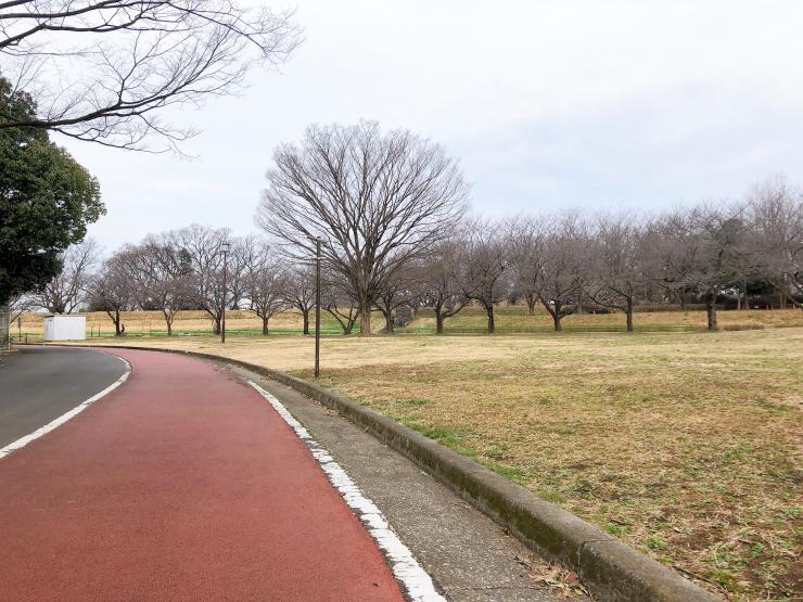 川越公園ランニングコース1