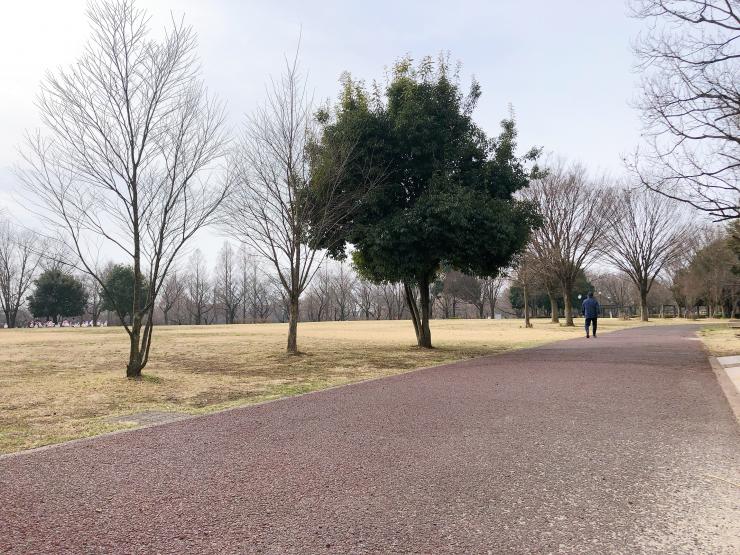 川越公園ランニングコース2