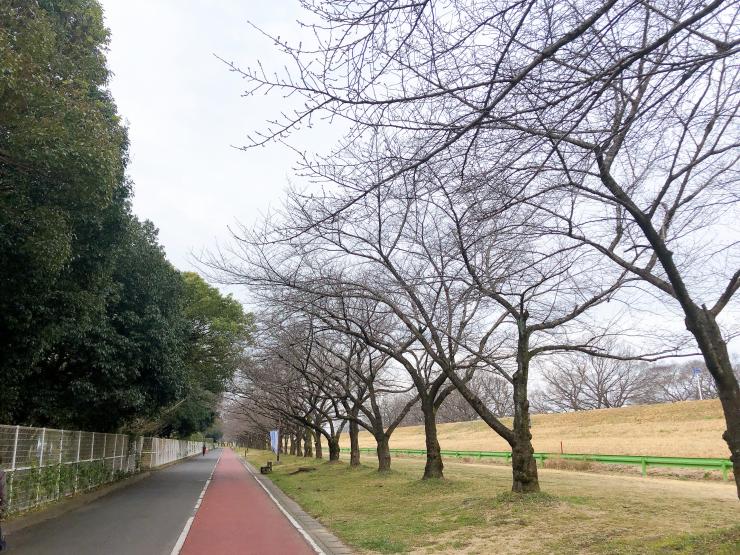 川越公園ランニングコース3