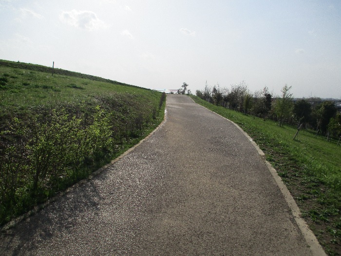 里山坂道