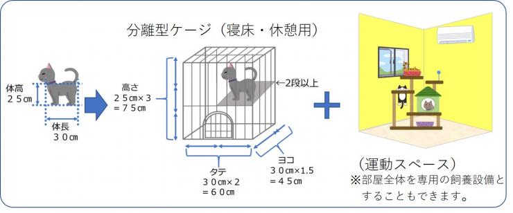 猫分離型イメージ