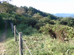 除草後きれいになった