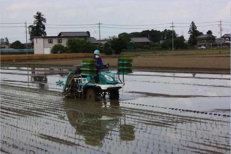 水田複合専攻実習写真その1