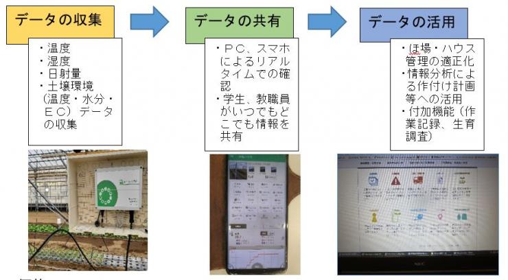 露地野菜システム概要