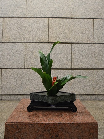 ikebana_020113.jpg