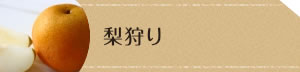 梨の取扱いのある観光農園一覧