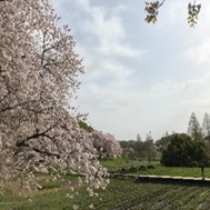 大宮第二公園