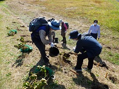 男性2人であじさいを植えているところ。一人は水が入ったバケツを持ち、一人はスコップを持っている。