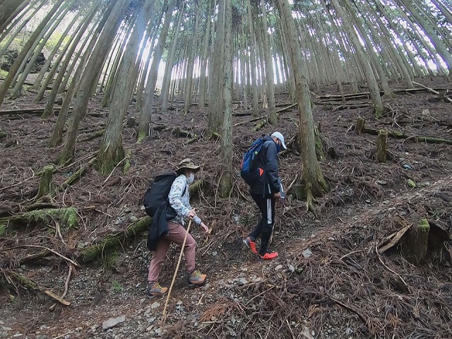 ウノタワを登る